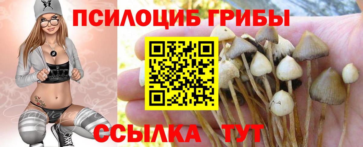 Галлюциногенные грибы Cubensis  Псилоцибиновые грибы мицелий  Воскресенск  Вход с VPN 